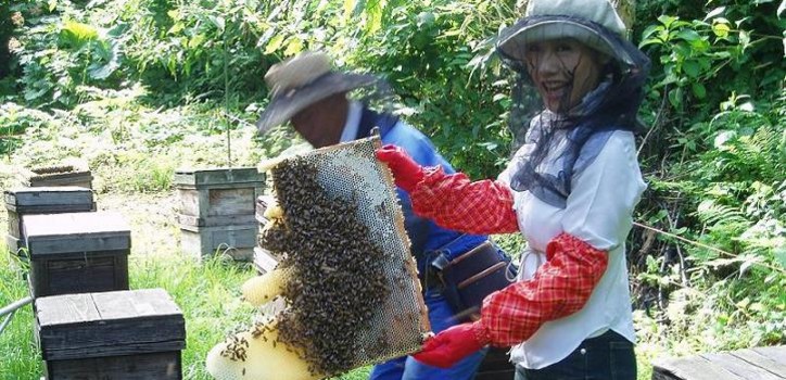 社長自ら素材をチェック　はちみつ